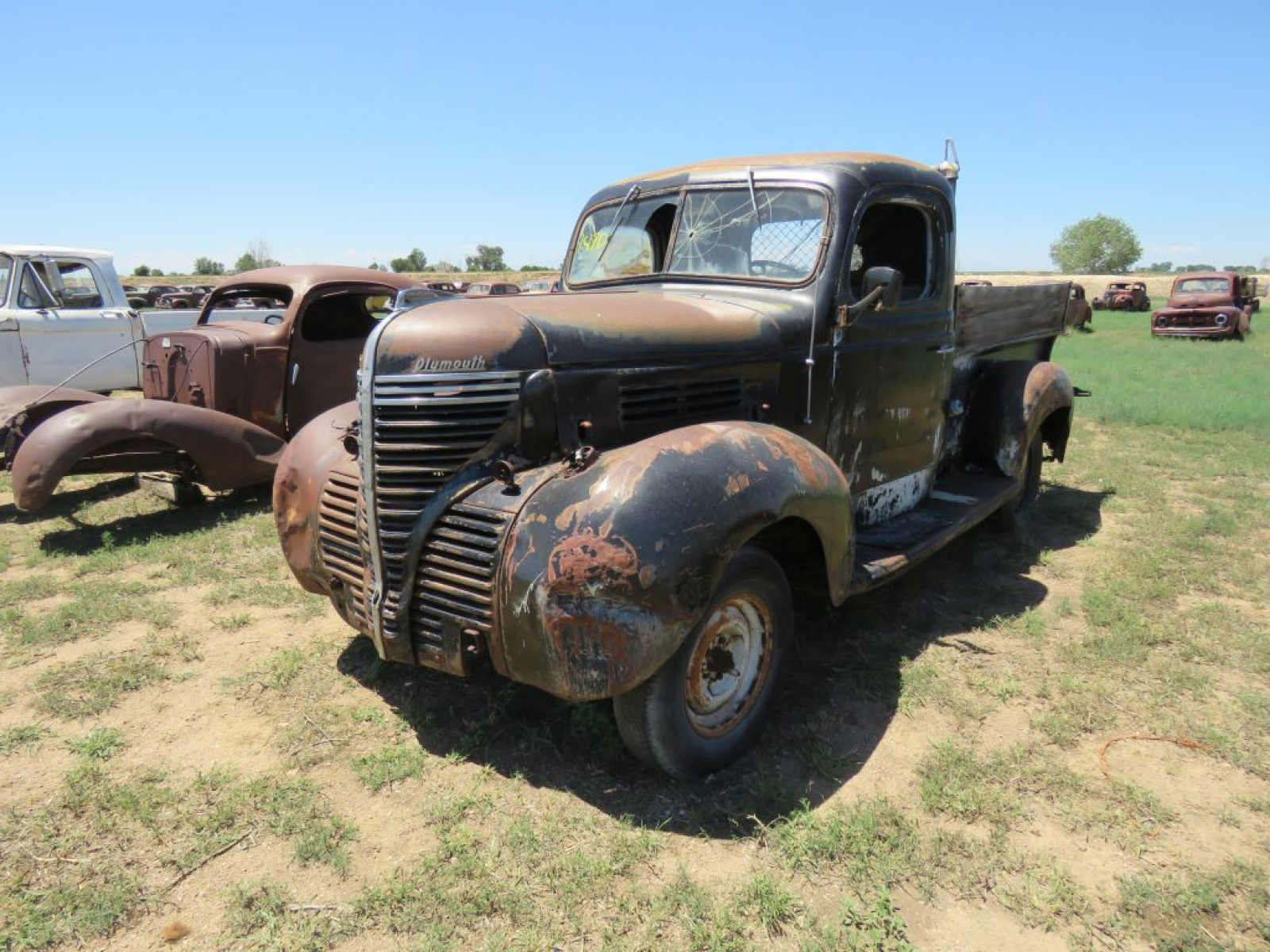 1941 Plymouth PT-125 Pickup - Image 3