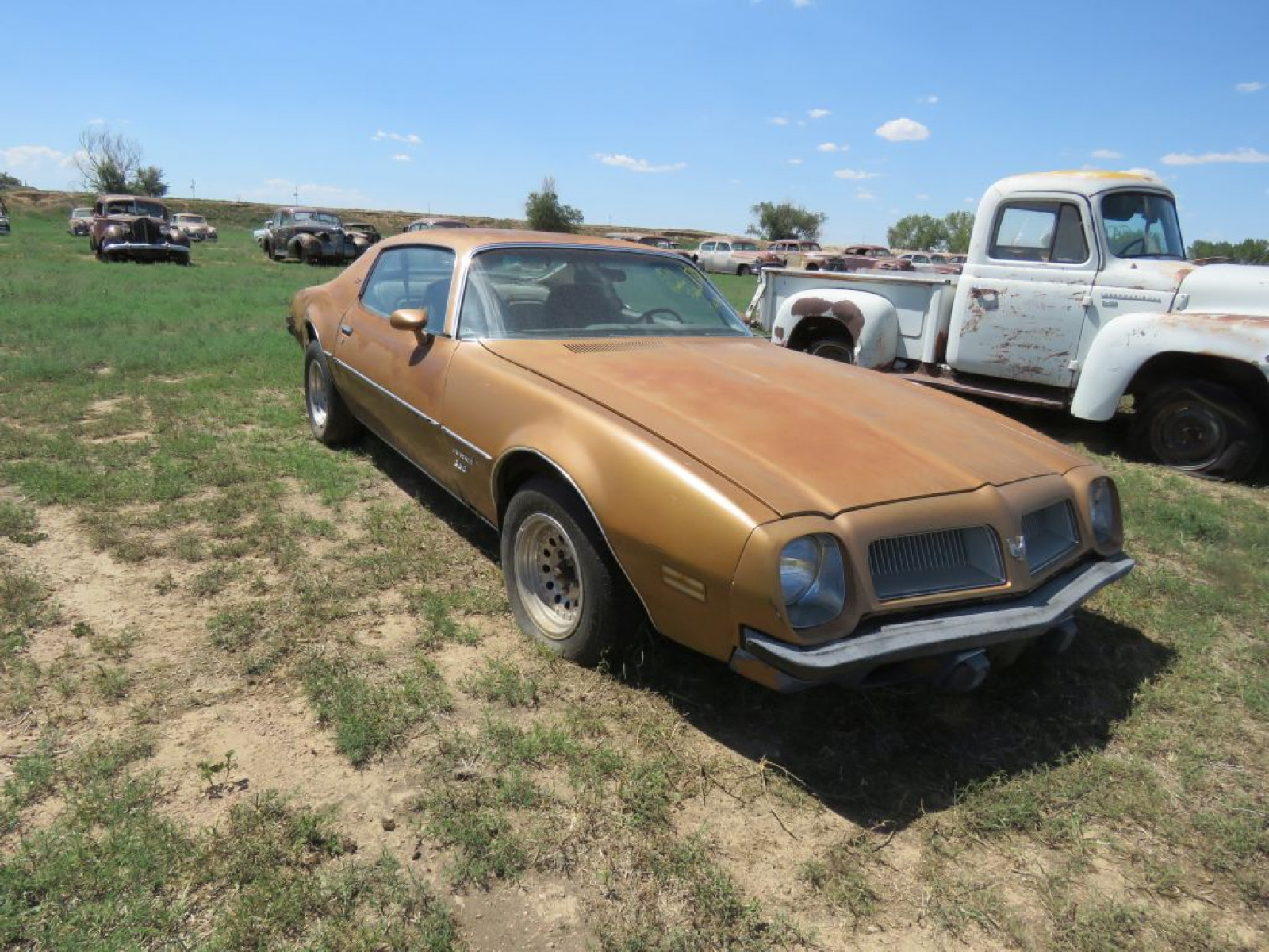 1974 Pontiac Espirit - Image 3