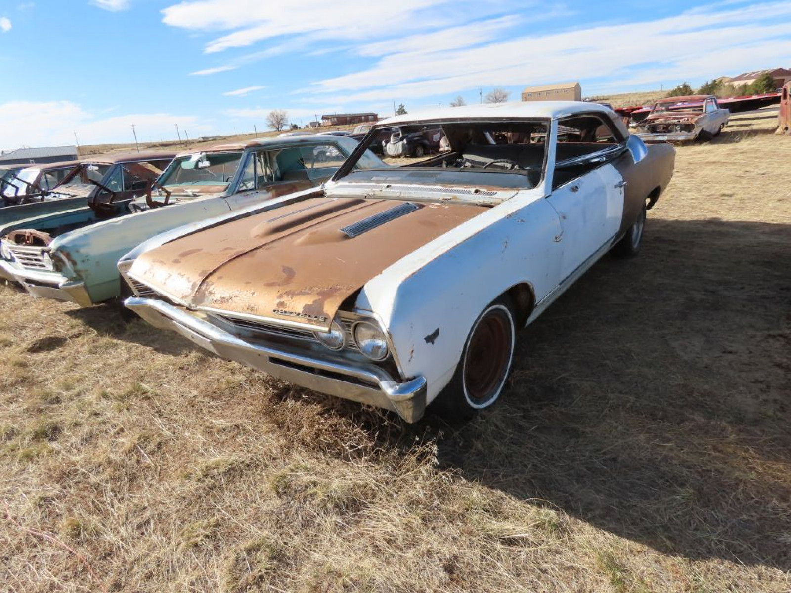 1967 Chevrolet Chevelle - Image 1