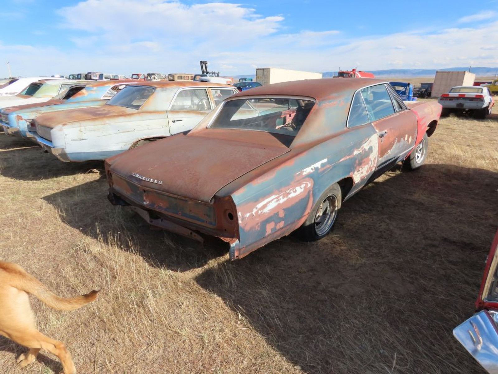 1966 Chevrolet Chevelle - Image 6