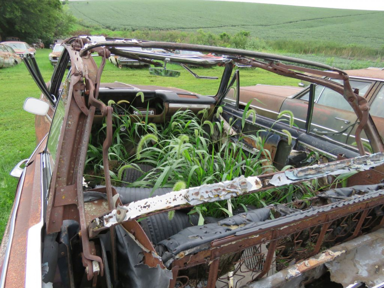 1964 Chevrolet Chevelle Convertible Project or Parts - Image 4
