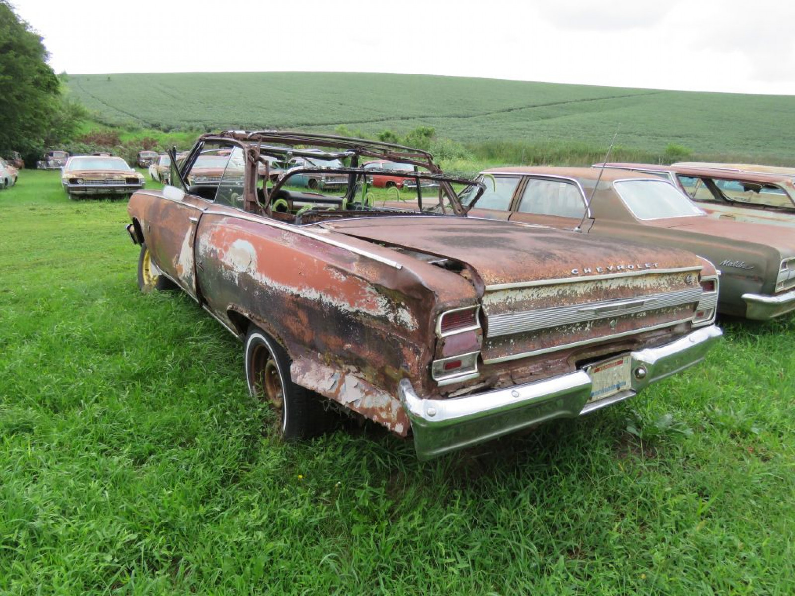 1964 Chevrolet Chevelle Convertible Project or Parts - Image 5