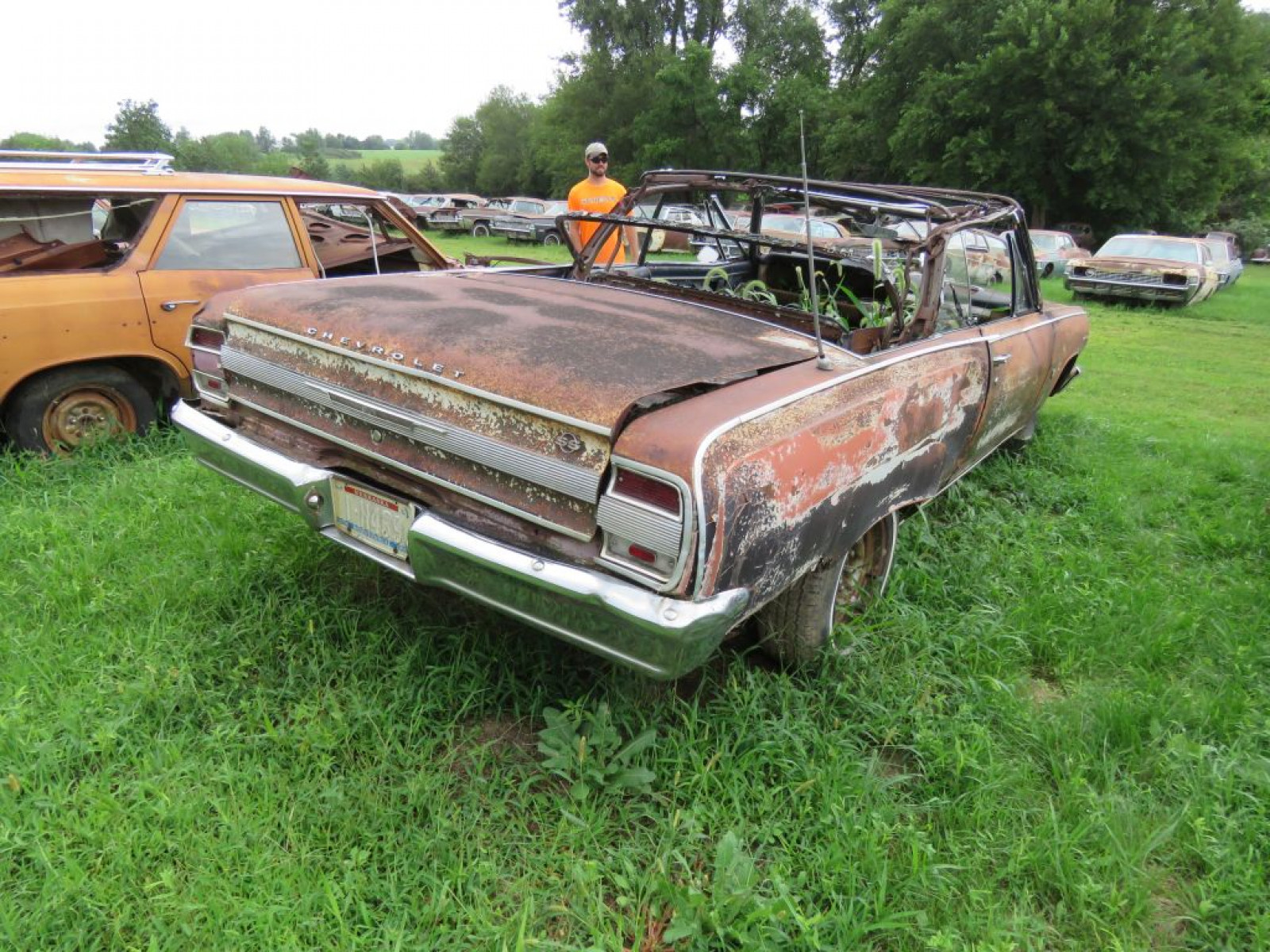 1964 Chevrolet Chevelle Convertible Project or Parts - Image 6