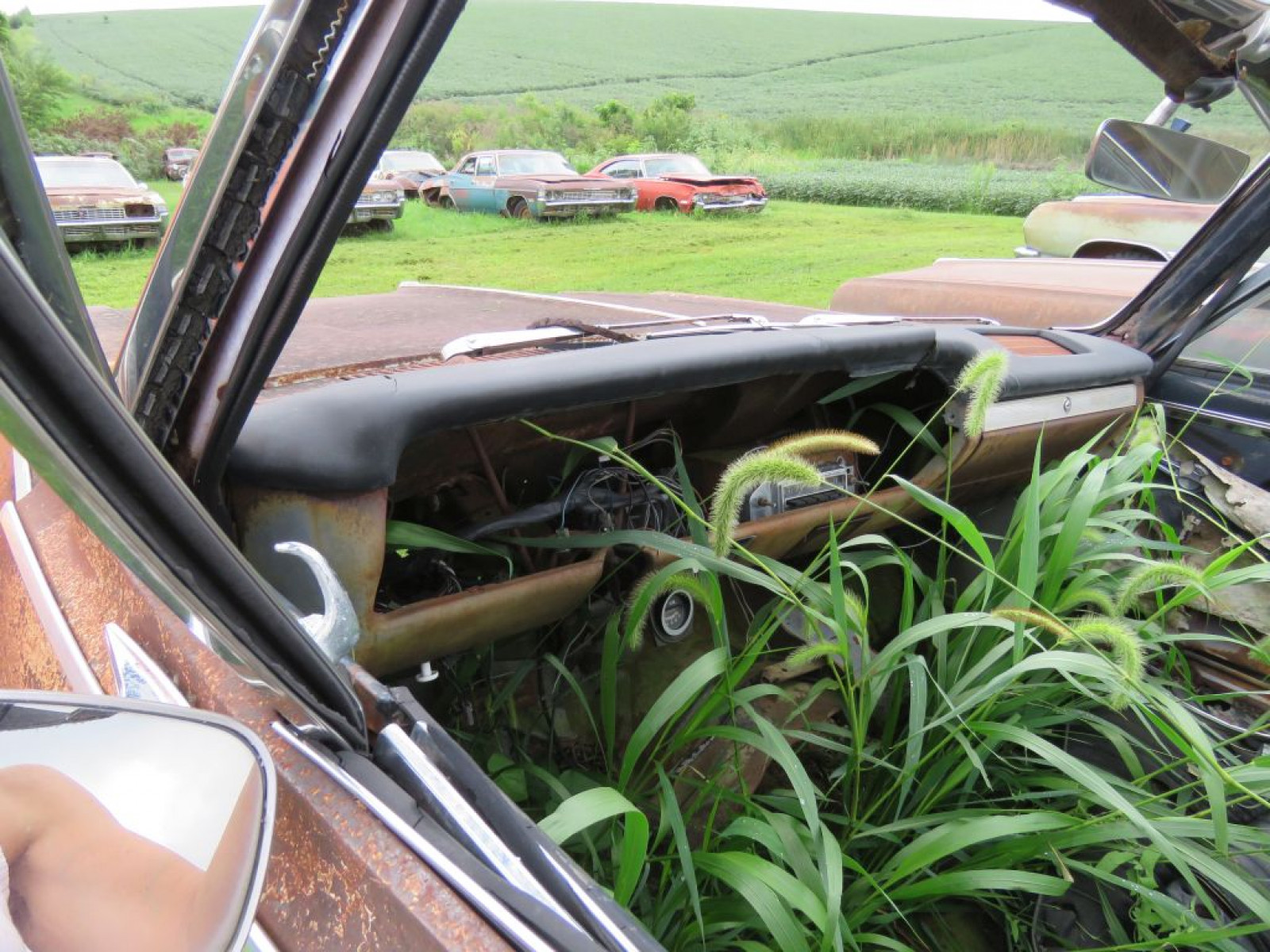 1964 Chevrolet Chevelle Convertible Project or Parts - Image 9