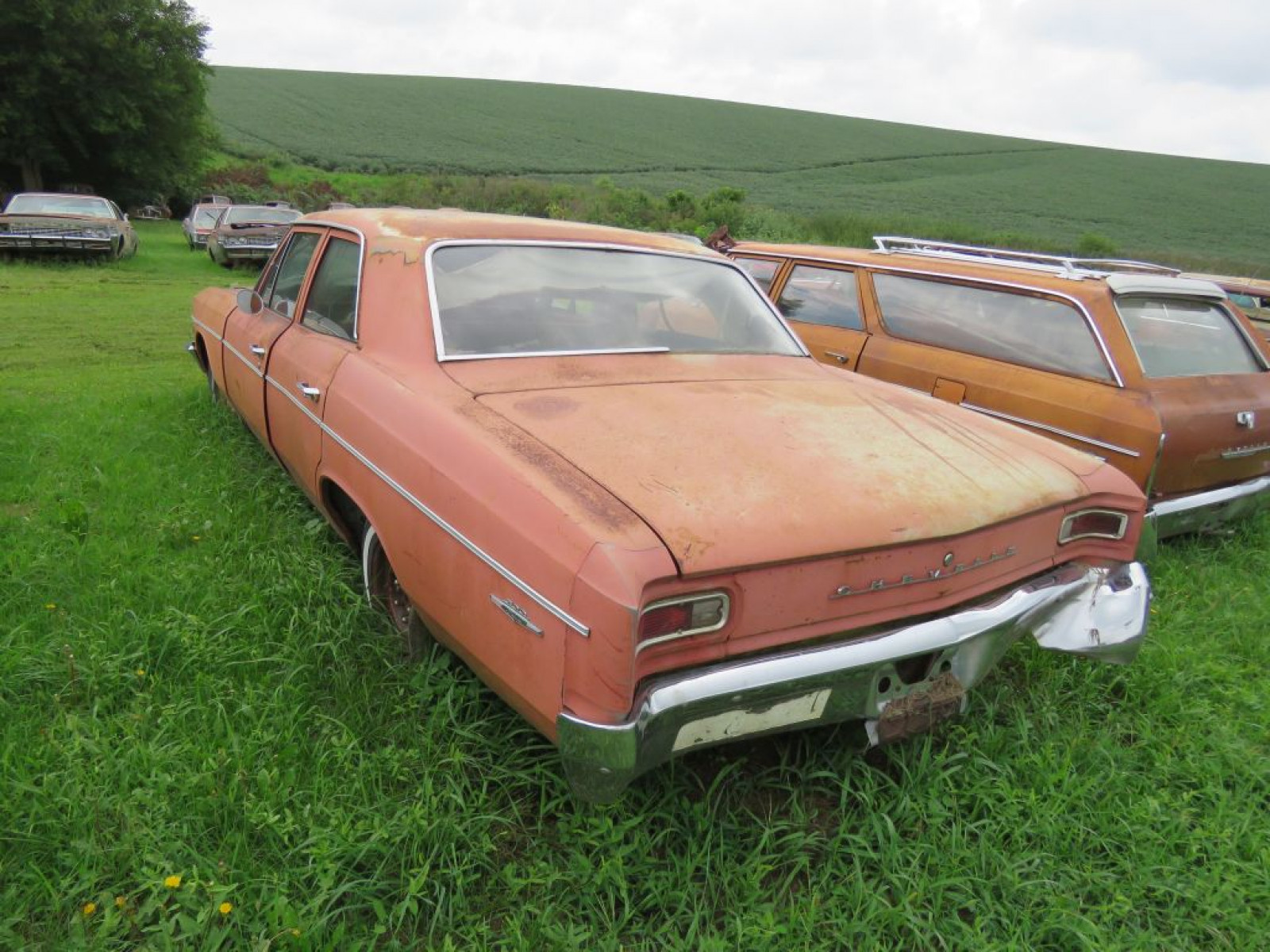 1966 Chevrolet Chevelle 4dr Wagon - Image 6