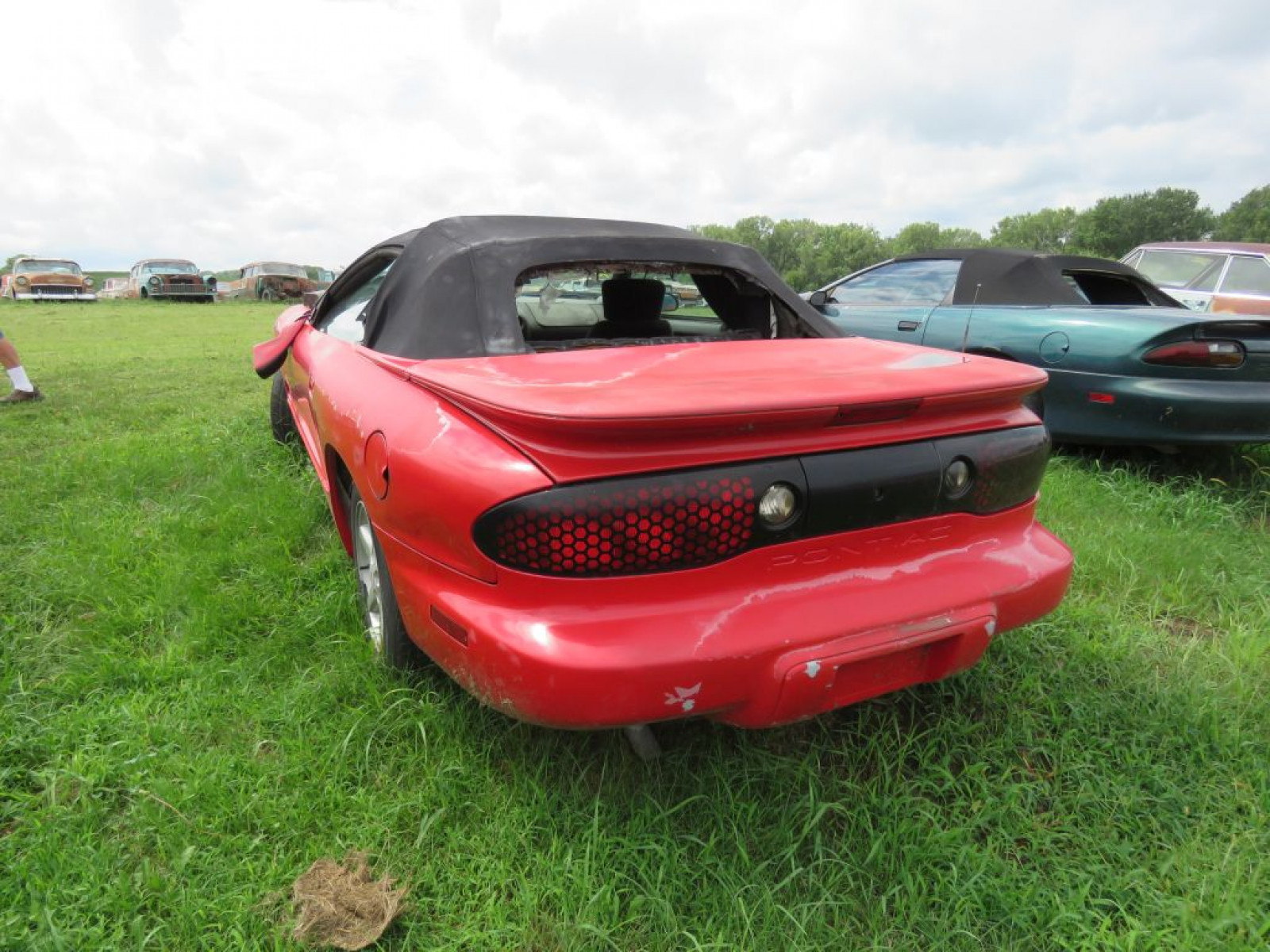 2001 Pontiac Firebird Convertible for Project or Parts - Image 4
