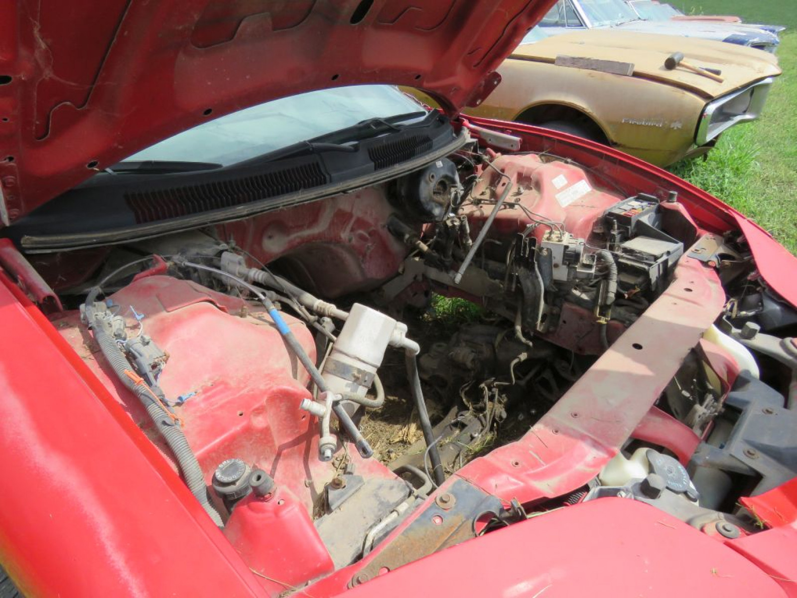 2001 Pontiac Firebird Convertible for Project or Parts - Image 5