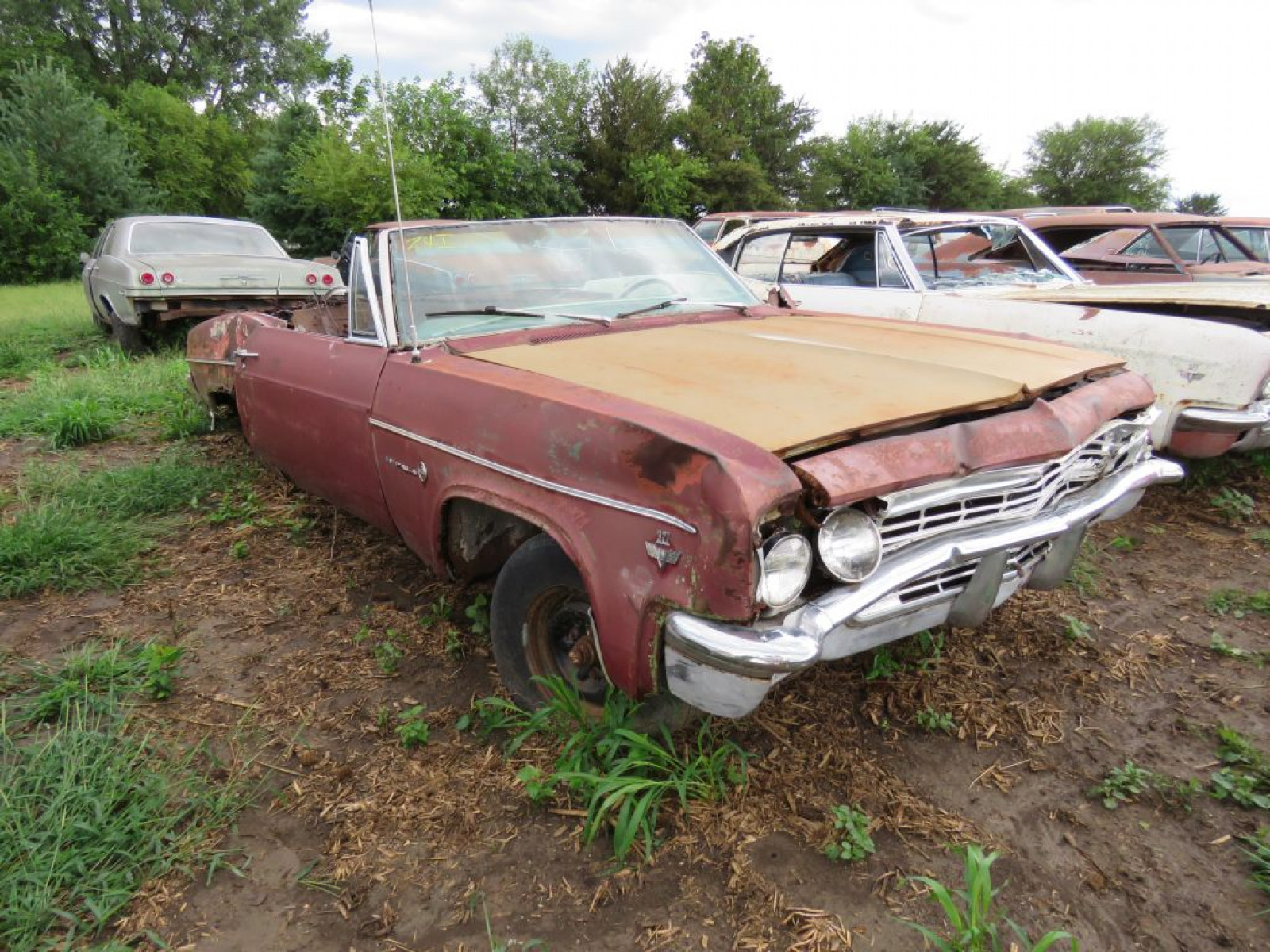 1966 Chevrolet Impala Convertible - Image 1