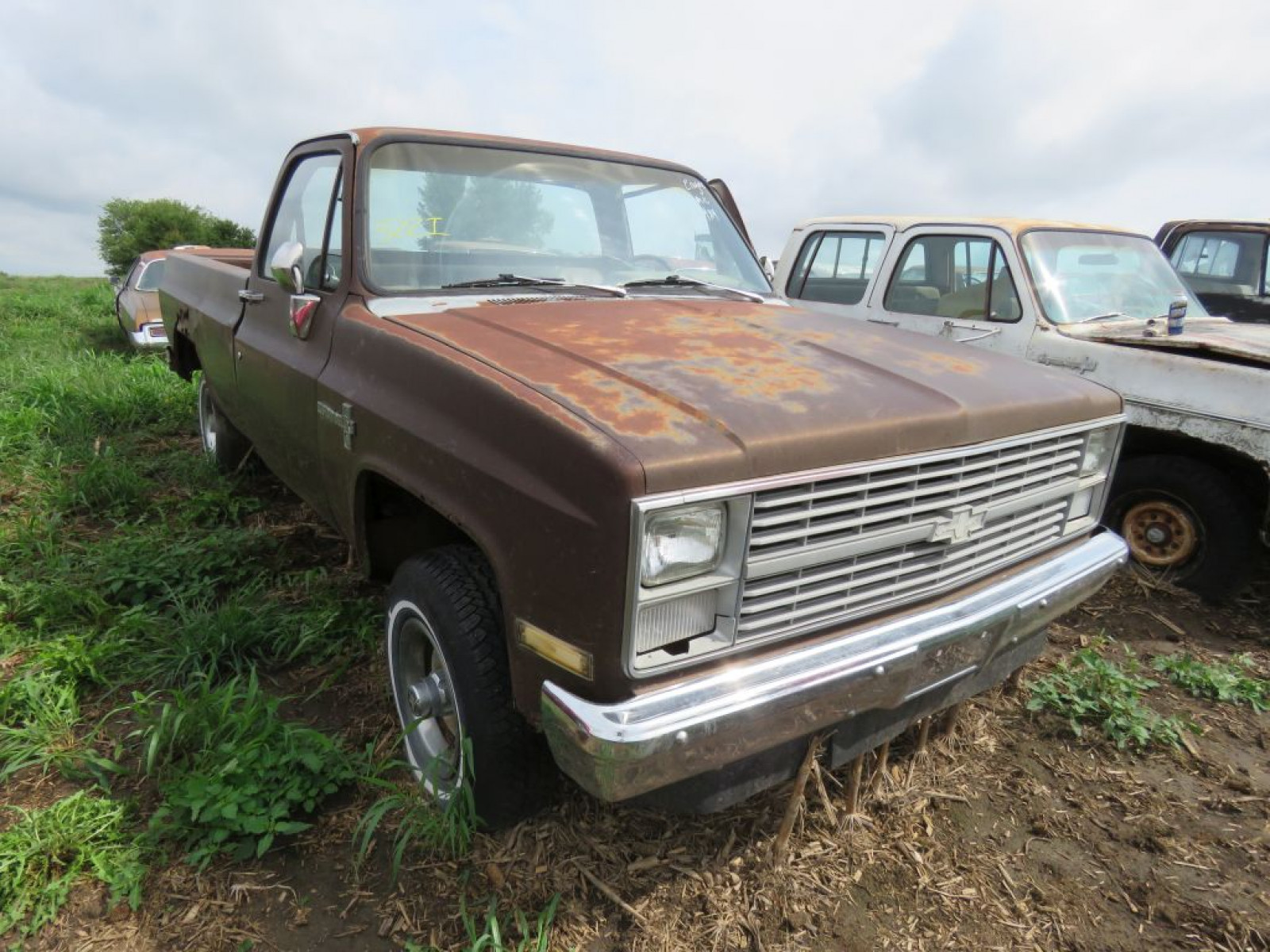 1983 Chevrolet Custom Deluxe 1/2 ton Pickup - Image 1