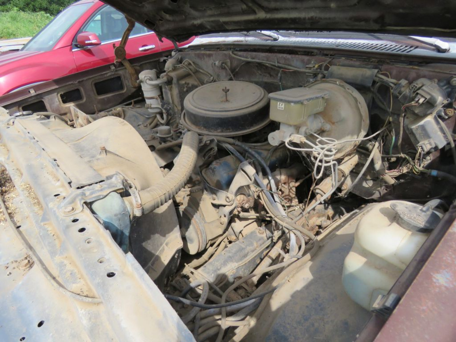 1983 Chevrolet Custom Deluxe 1/2 ton Pickup - Image 11