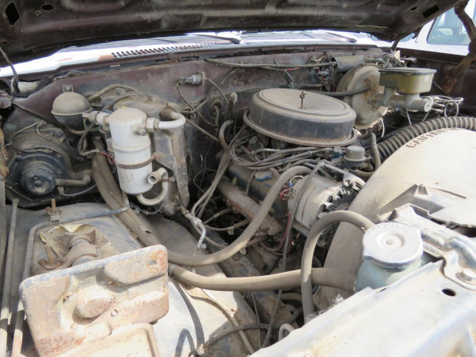 1983 Chevrolet Custom Deluxe 1/2 ton Pickup - Image 12