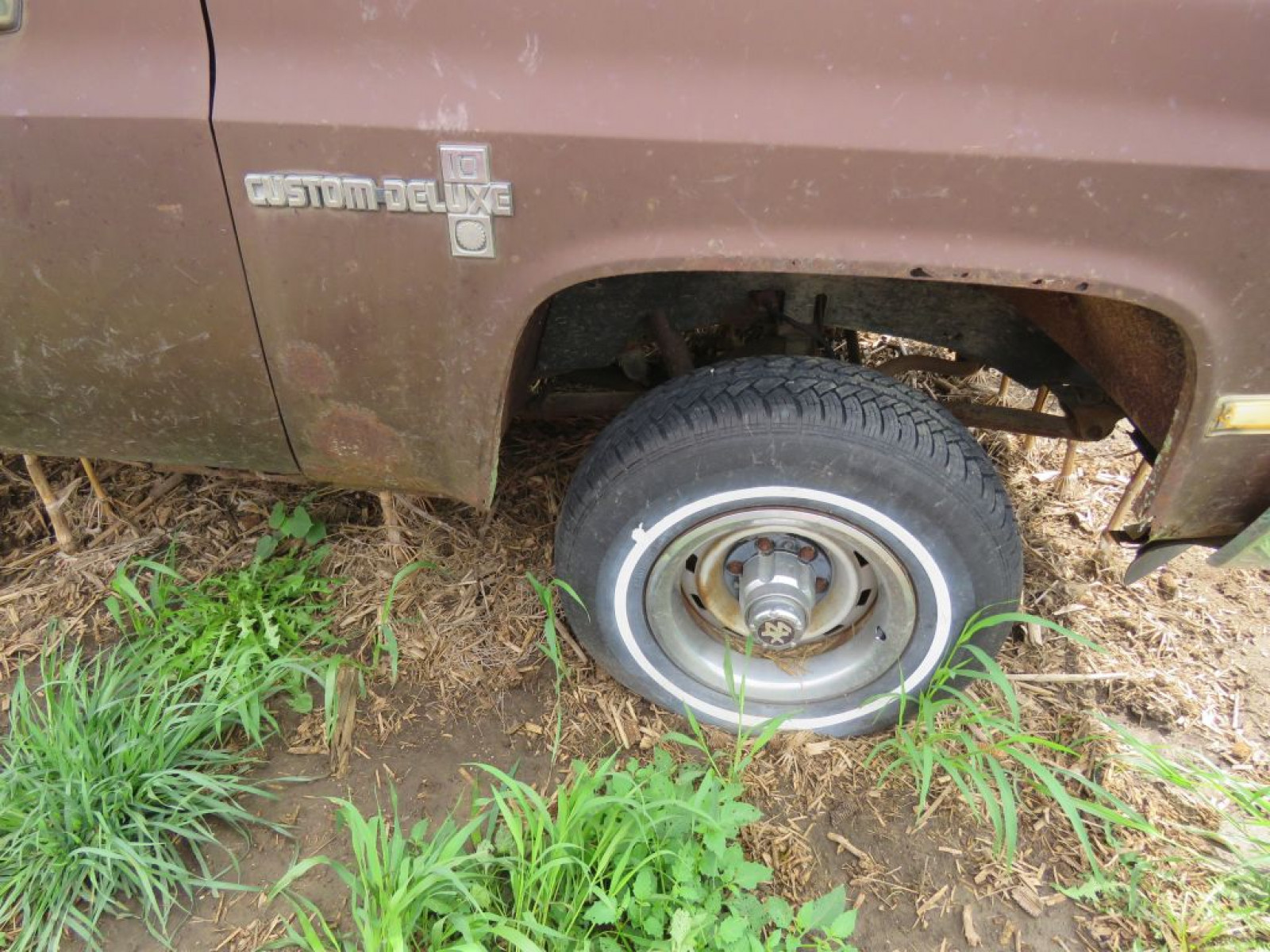 1983 Chevrolet Custom Deluxe 1/2 ton Pickup - Image 2