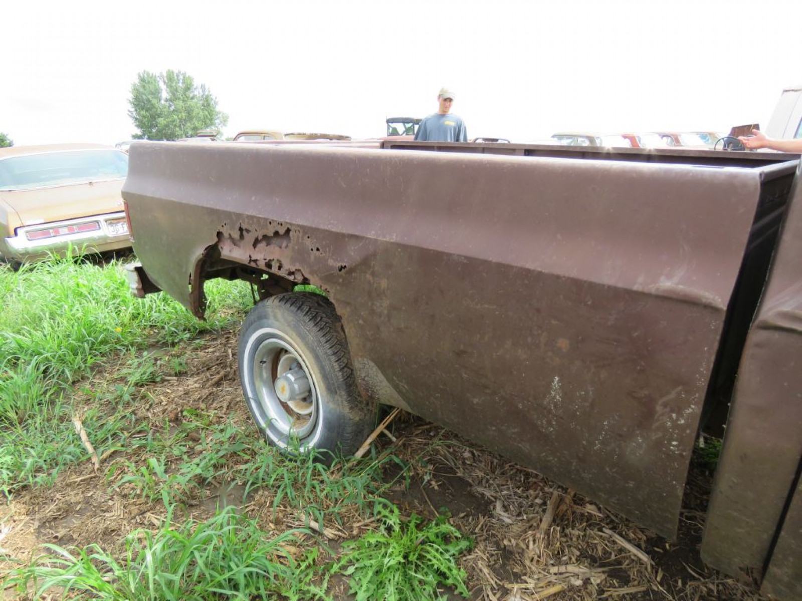 1983 Chevrolet Custom Deluxe 1/2 ton Pickup - Image 3