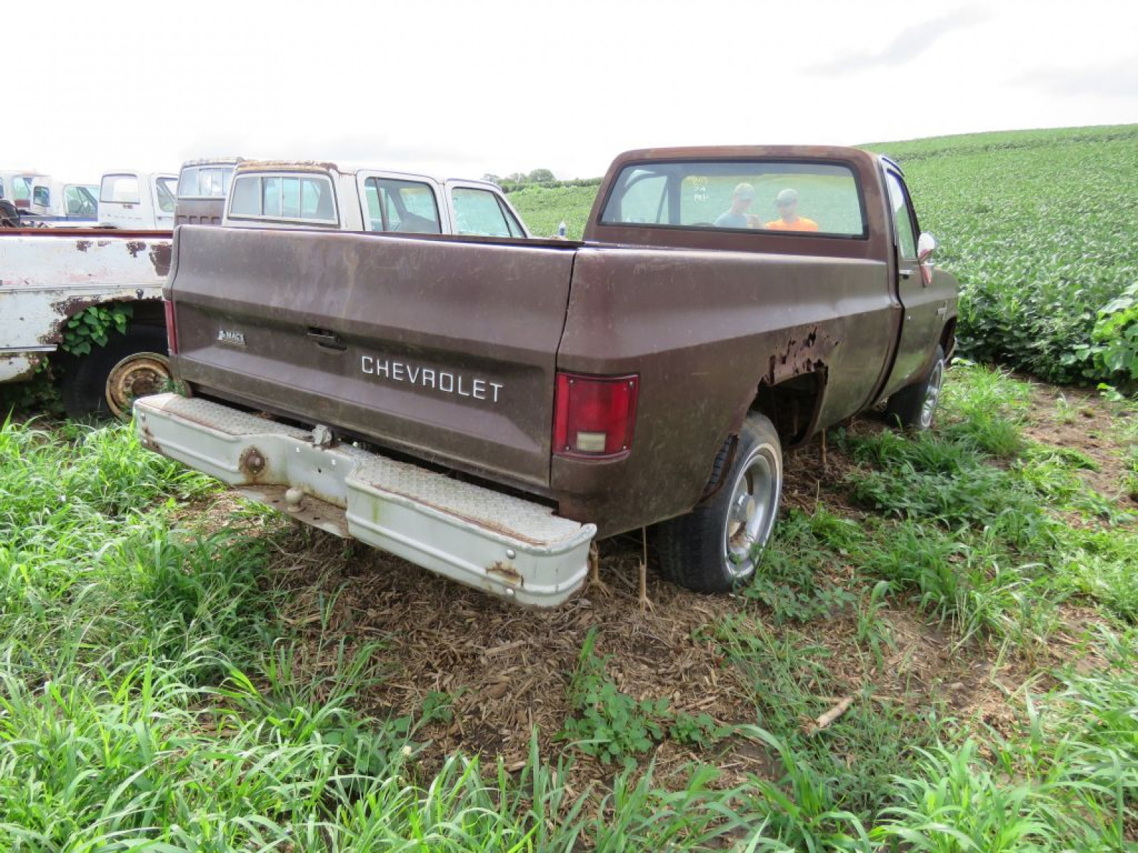 1983 Chevrolet Custom Deluxe 1/2 ton Pickup - Image 4