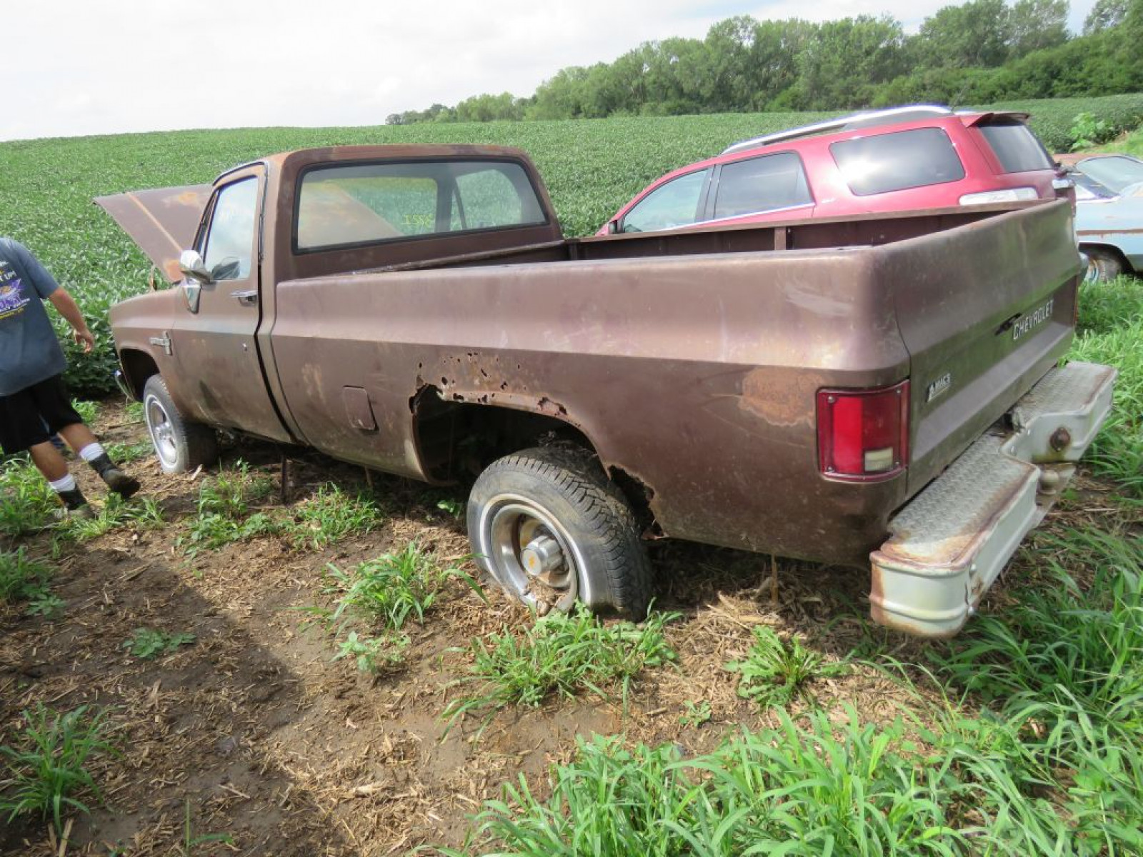 1983 Chevrolet Custom Deluxe 1/2 ton Pickup - Image 7
