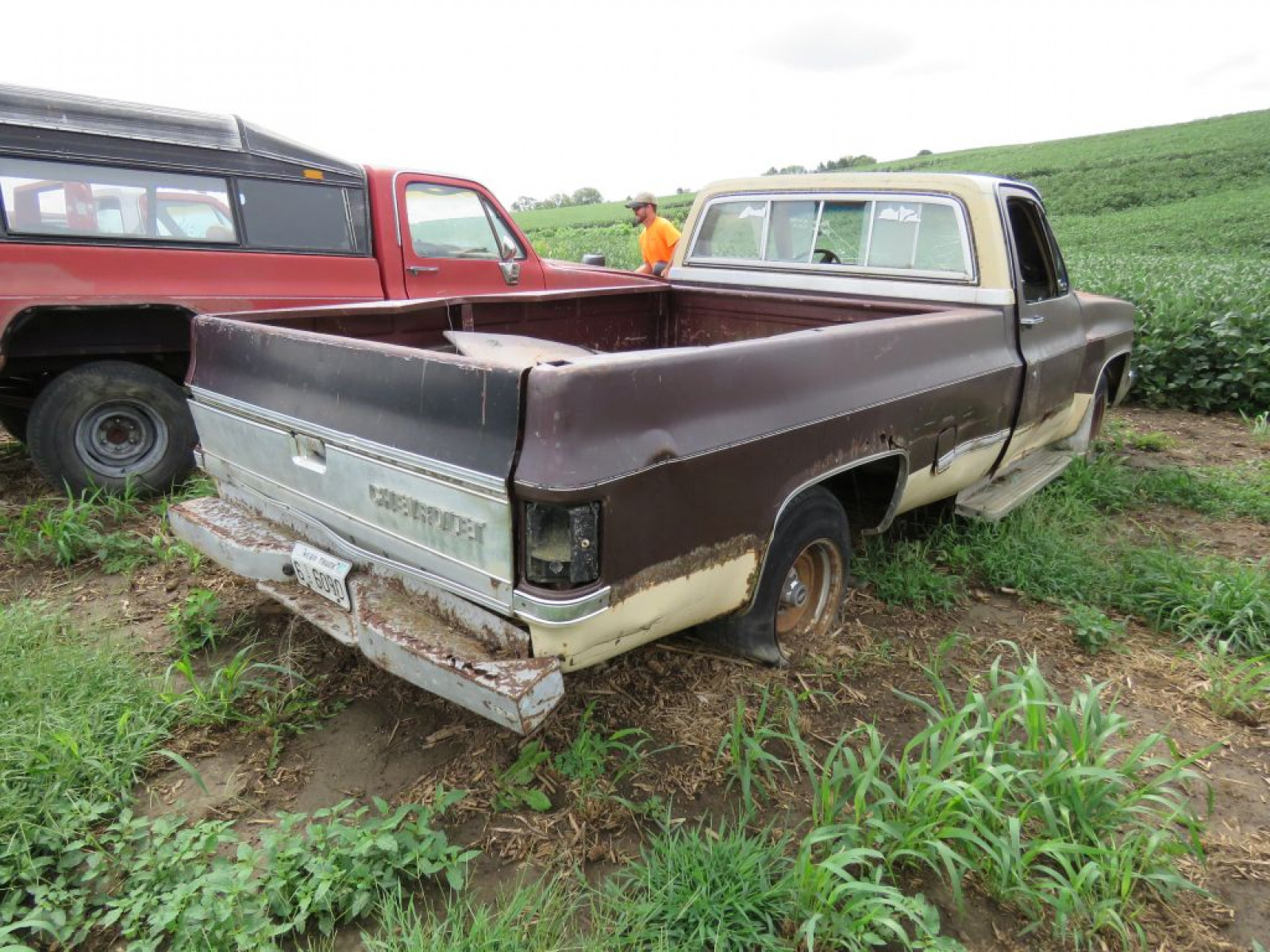 1981-2 Chevrolet Pickup - Image 3
