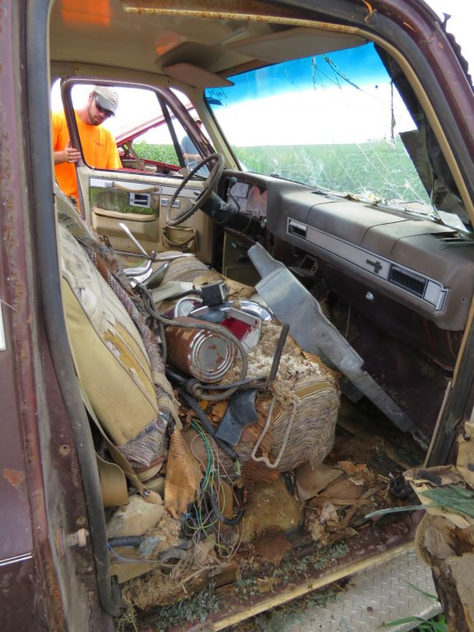 1981-2 Chevrolet Pickup - Image 4