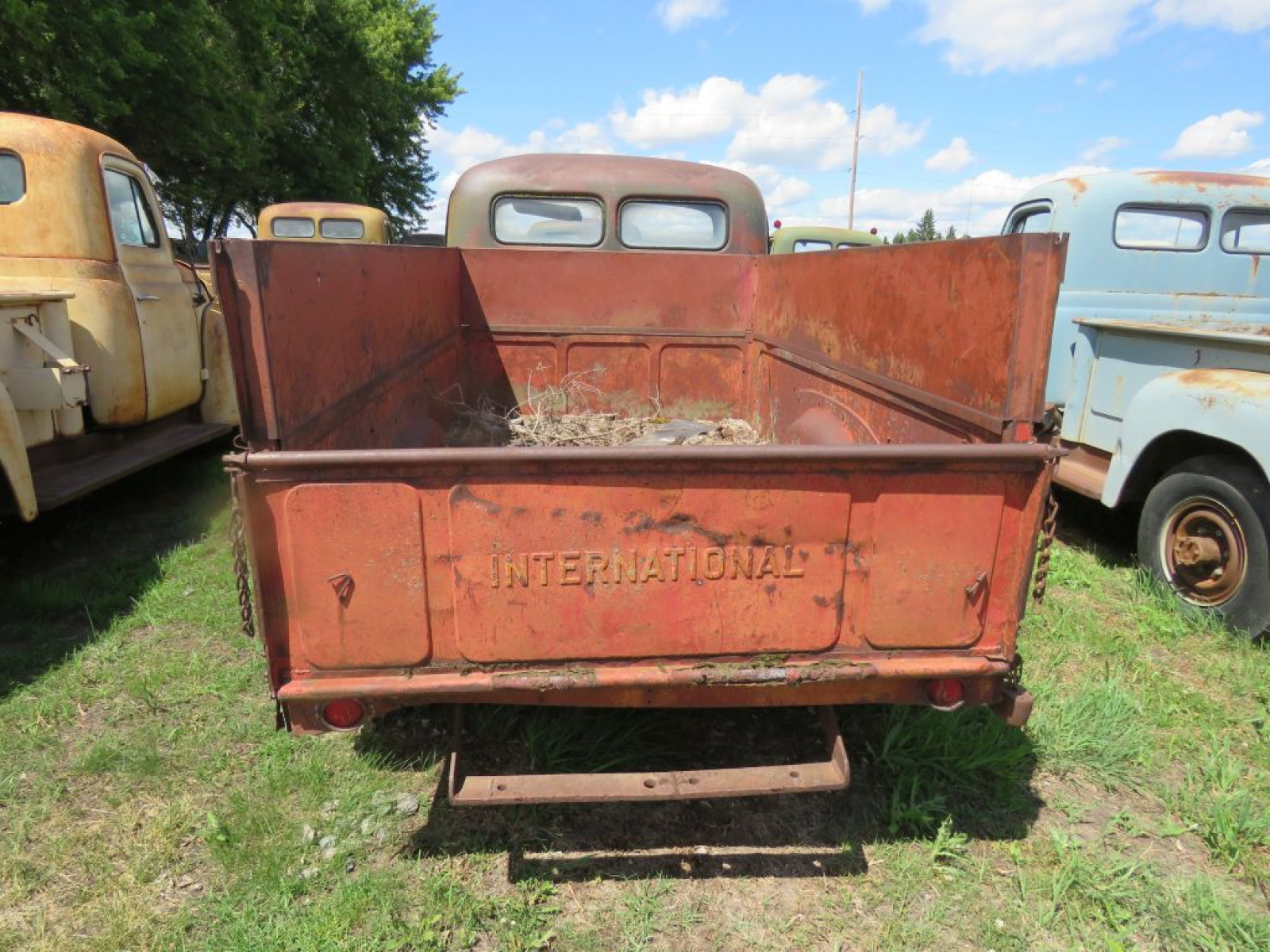 1953 R120 International Pickup - Image 6