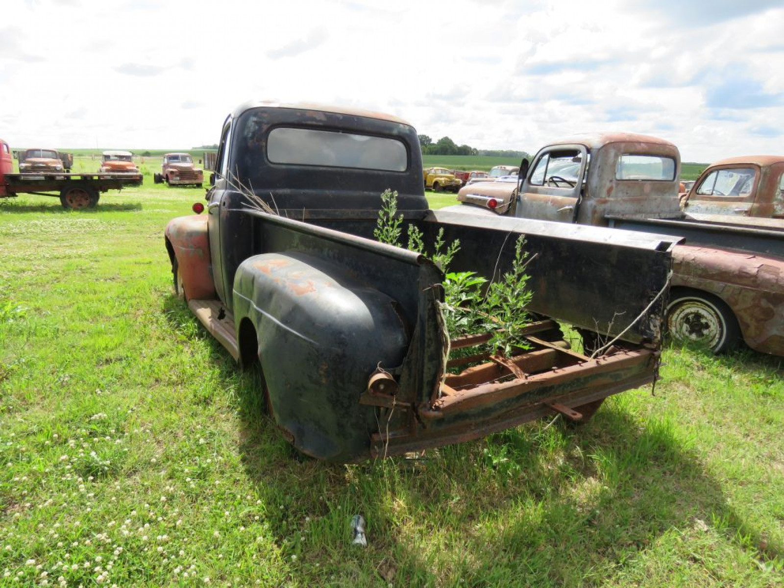 1952 F1 Pickup - Image 6