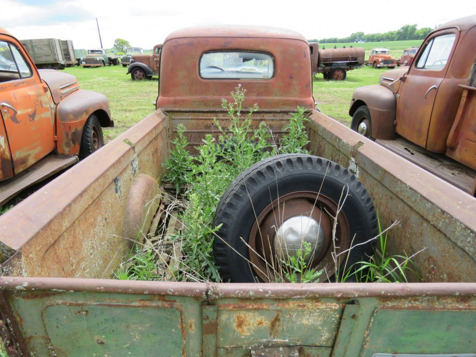 1949 F3 Ford Pickup - Image 6
