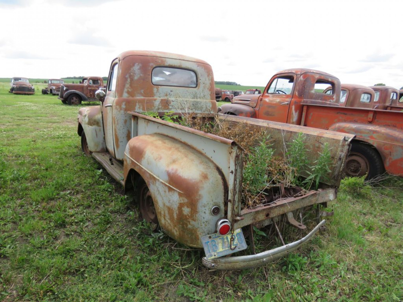 1948-50 Ford F1 Pickup - Image 6