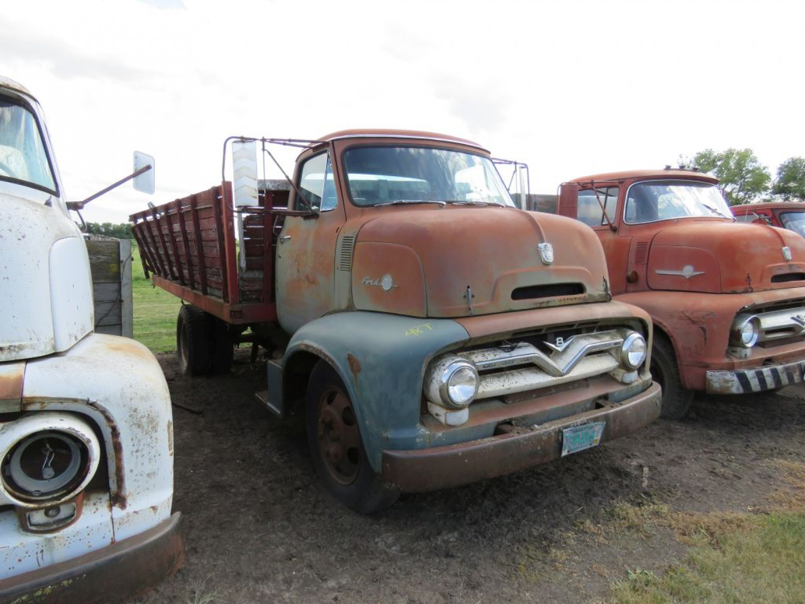 1955 Ford C600 COE Truck - Image 1