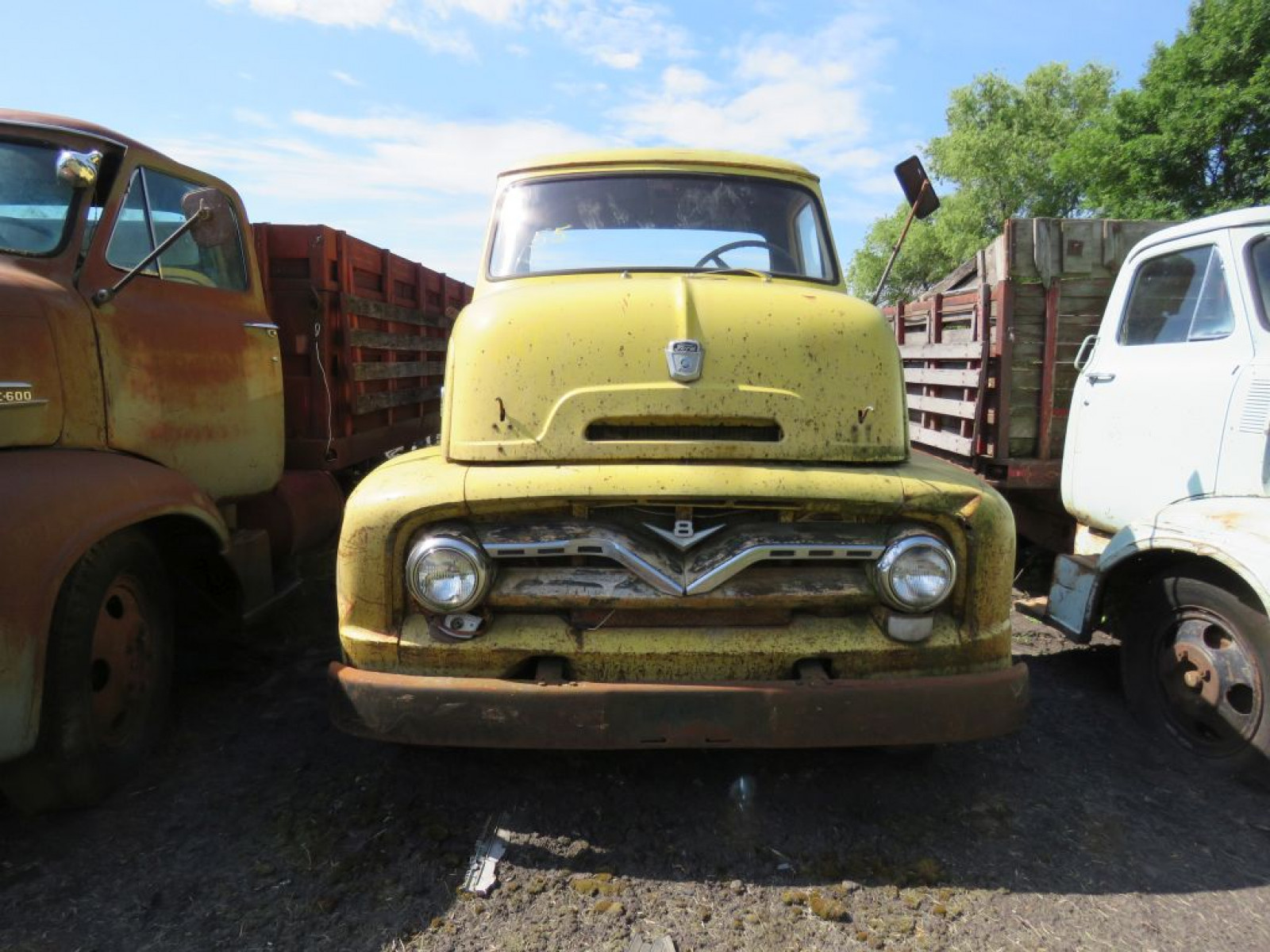 1955 Ford C700 COE Truck Big Job - Image 2