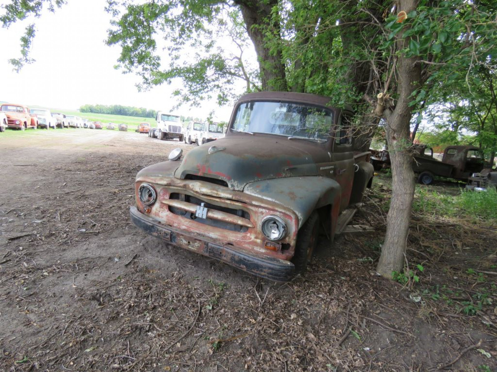 1953-55 International R110 1/2 ton Pickup - Image 2