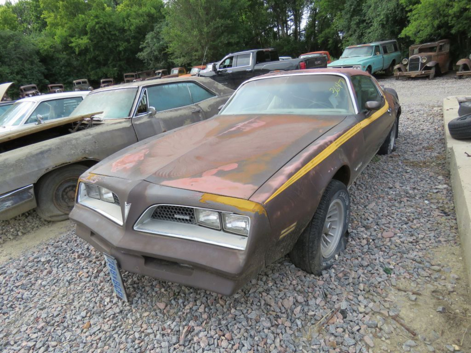 1977 Pontiac Firebird - Image 1