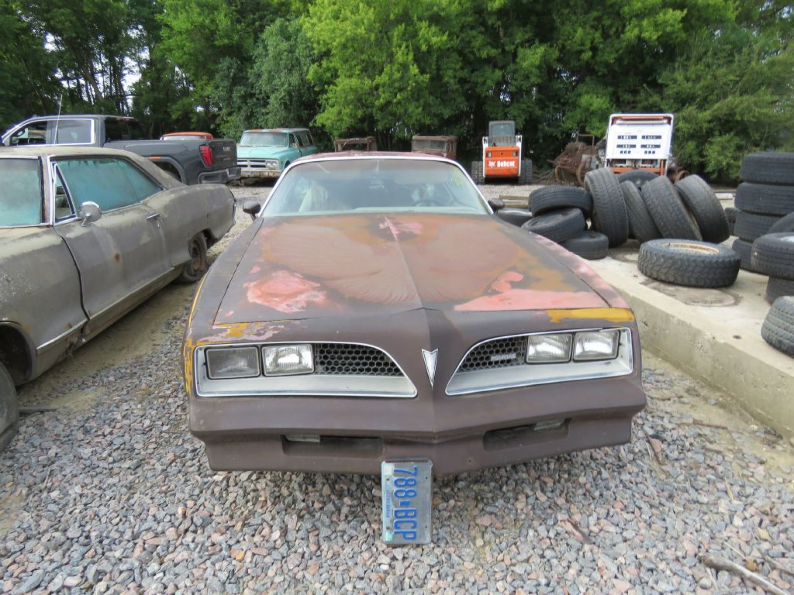 1977 Pontiac Firebird - Image 2