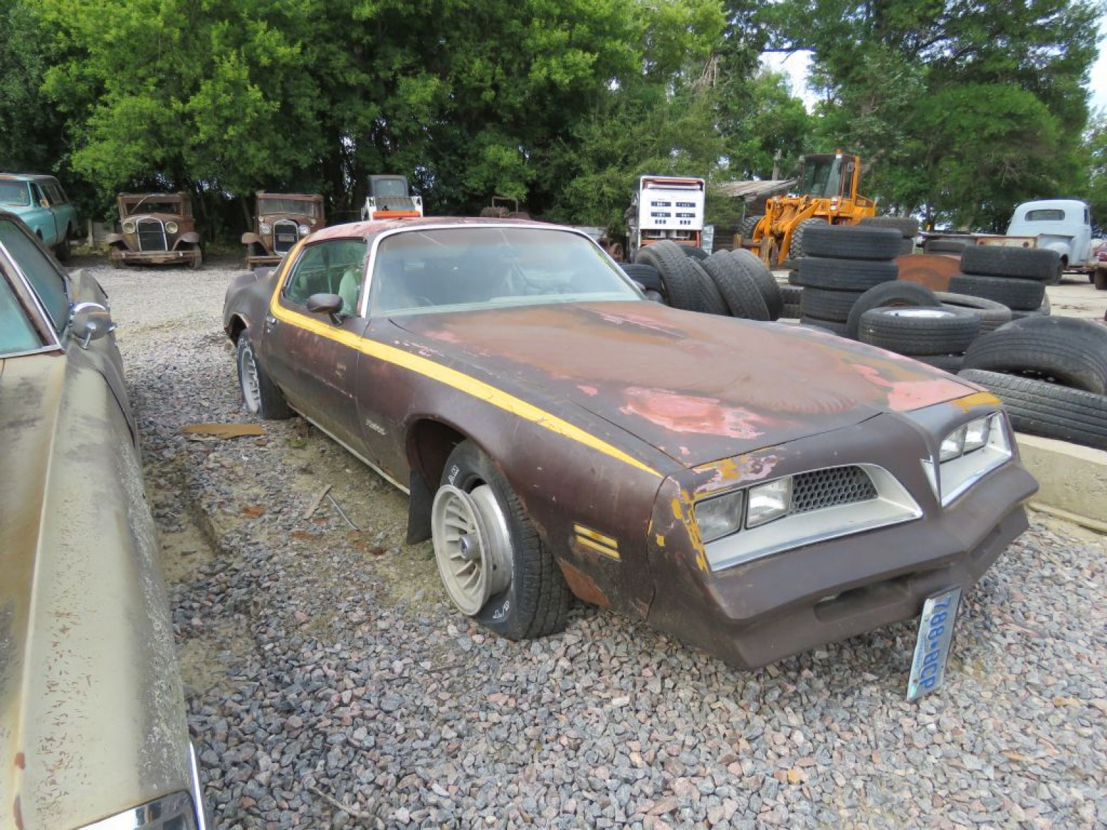 1977 Pontiac Firebird - Image 3