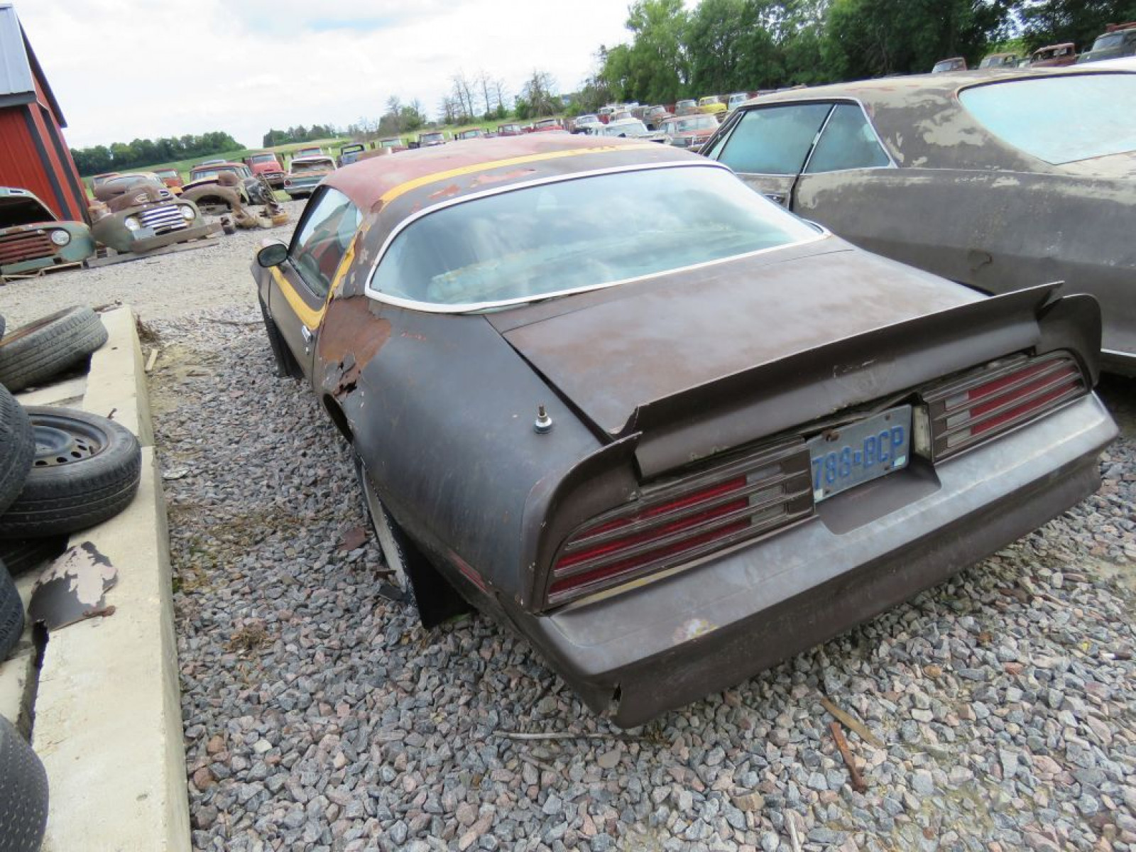 1977 Pontiac Firebird - Image 5