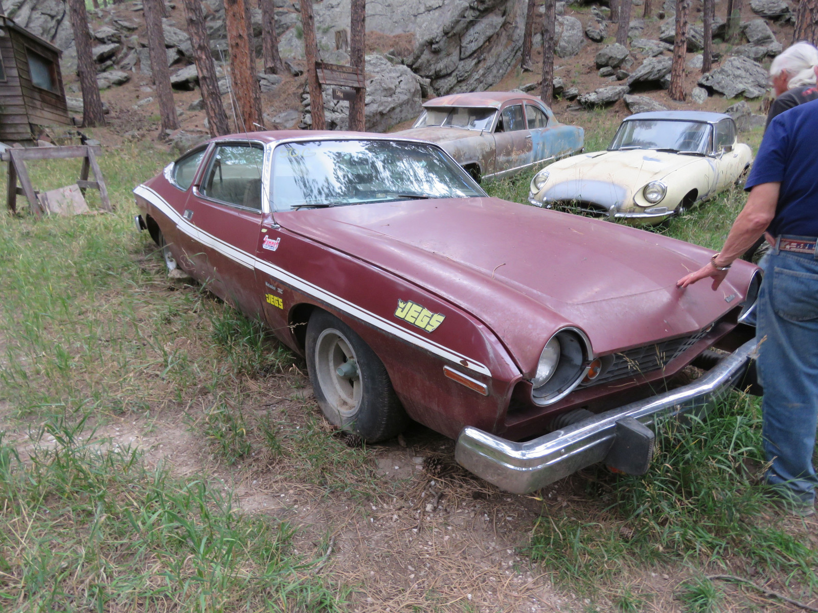 Lot 50G 1974 AMC Matador X Coupe VanderBrink Auctions