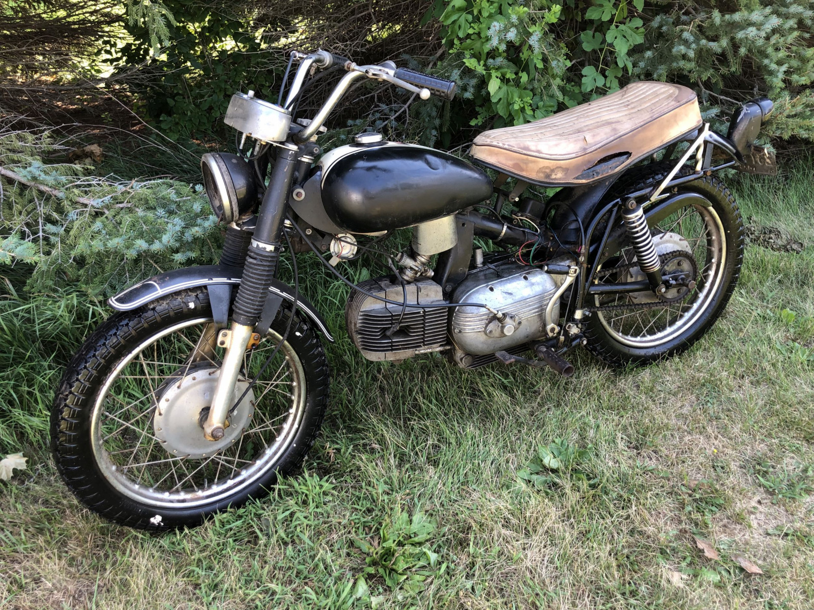 harley ss motor