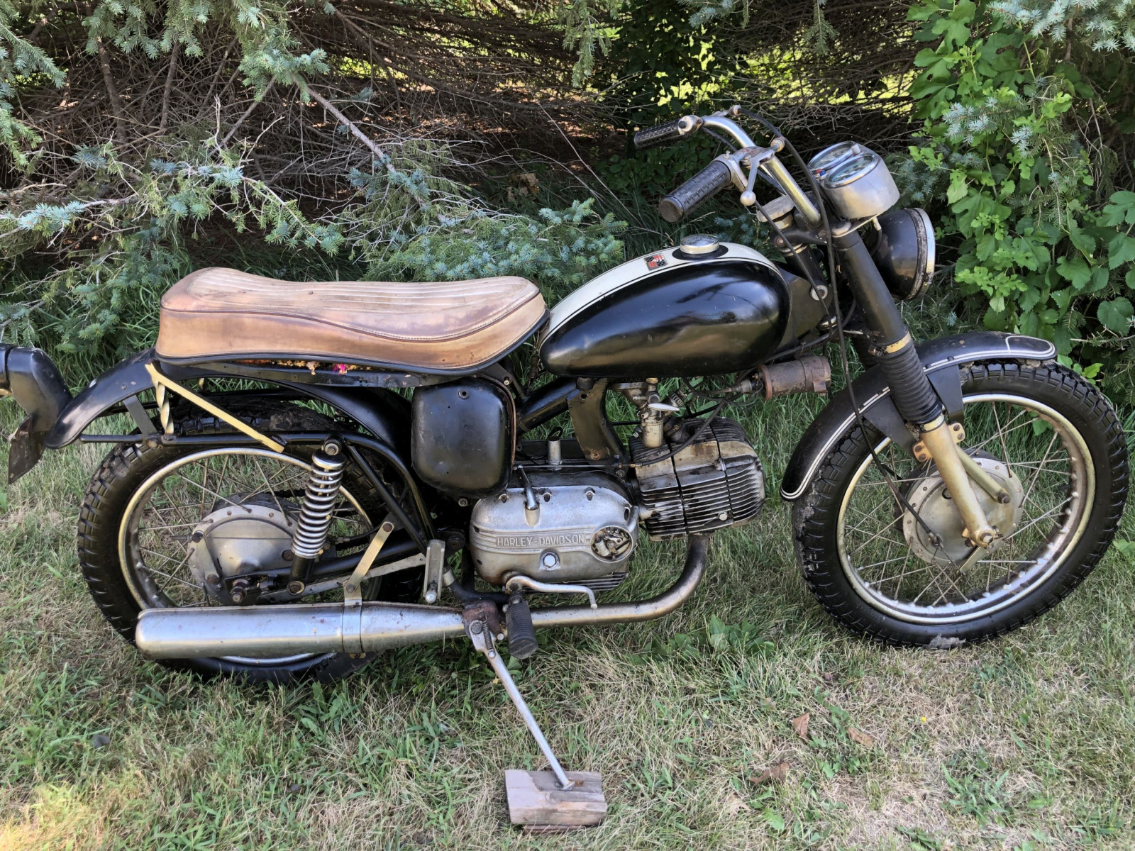harley ss motor